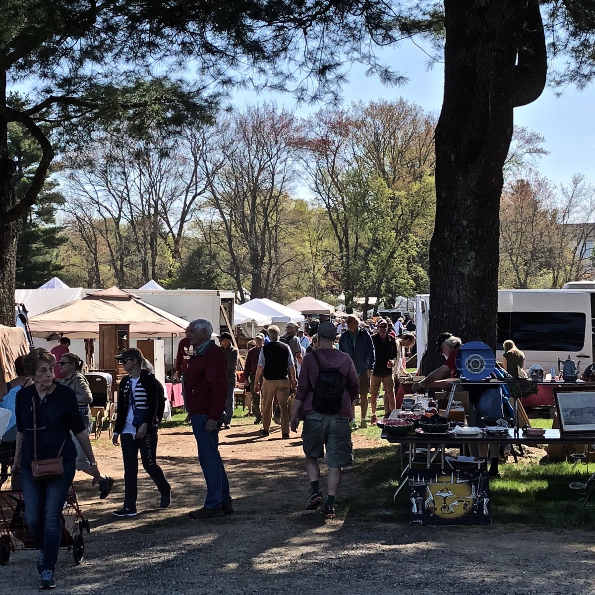 Antique Market & Shoppe